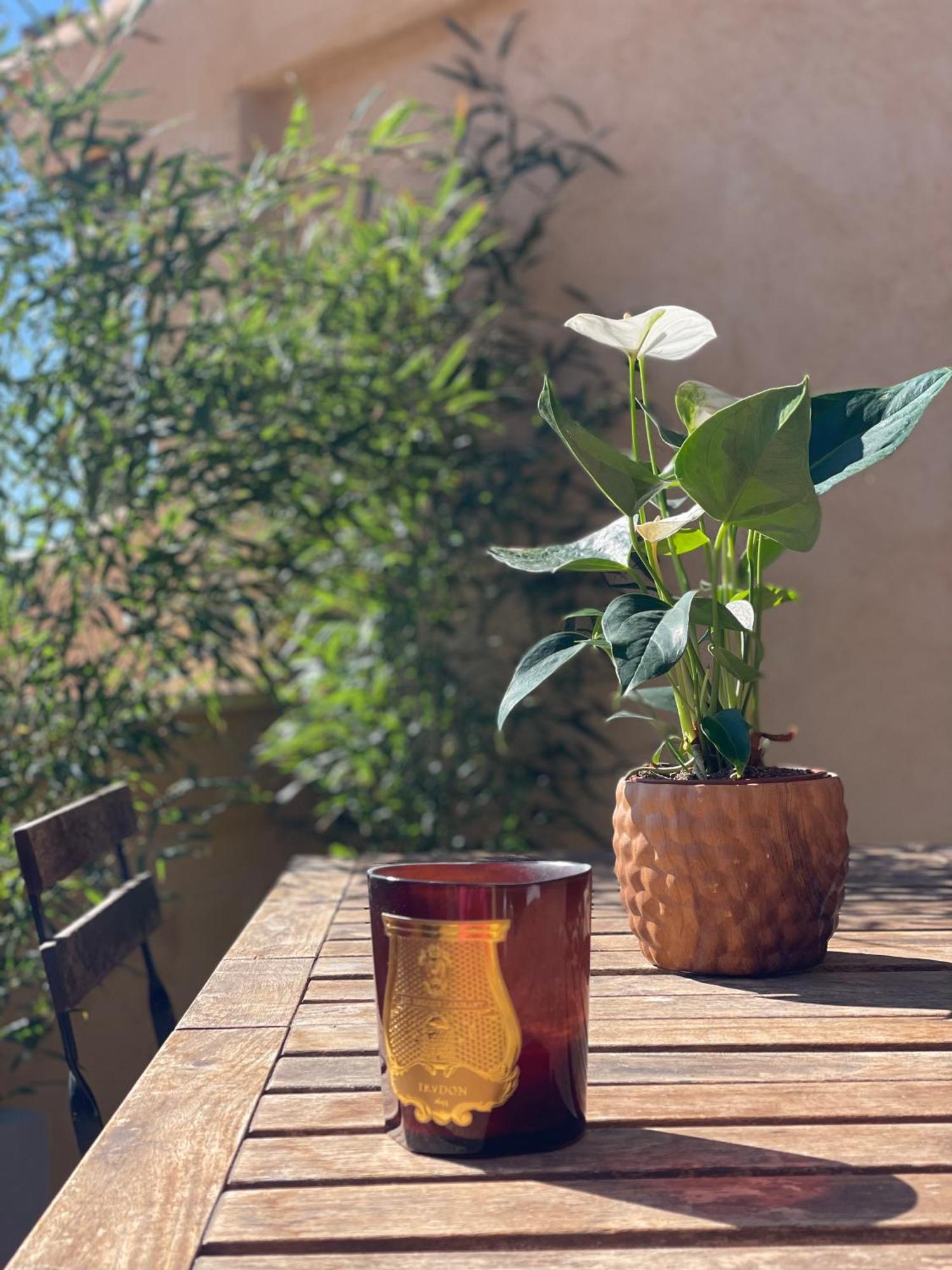 Le Mini - Un Voyage En Provence Apartment